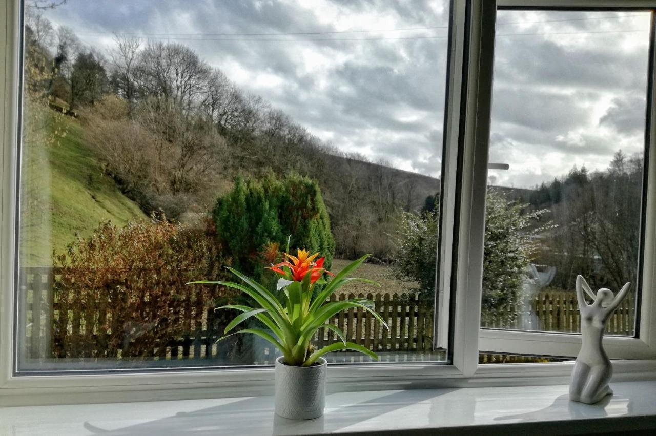 Neuadd Wen Guest House Carmarthen Exteriör bild